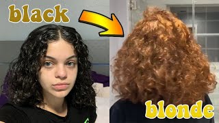 Going From Black To Blonde | Without Bleach | Part 1