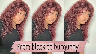 How To Dye Hair Burgundy Without Bleach | Beginner Friendly|  Ft: Eullair Hair