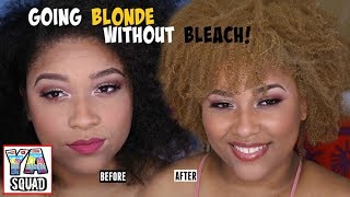 How I Dyed My Hair Blonde Without Bleach!!