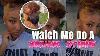 Watch Me Do A Skunk Stripe | No Bleach