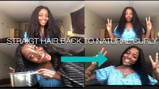 Affordable Mongolian Kinky Curly Frontal Wig | 1 Year Hair Review | Isee Hair | Bonjouritsabi
