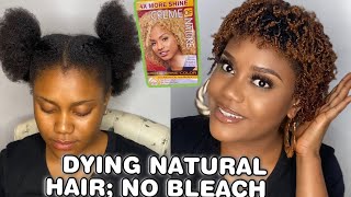 How To Dye Natural Hair Without Bleach // Quick, Simple And Easy. (Ombré)