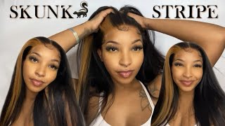 How To: Blonde Skunk Stripe  | Ft. Beautyforeverhair