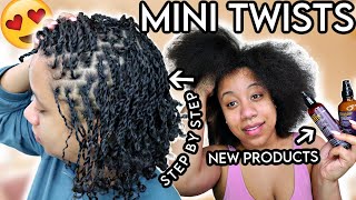 The Ultimate Guide To Mini Twists For Natural Hair Growth!!