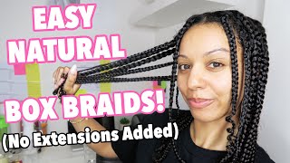 Easy Natural Curly Hair Box Braids Protective Style (No Added Hair!)