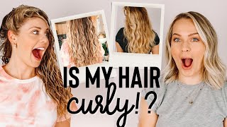 Wait… Is My Hair Actually Curly?! - Kayley Melissa