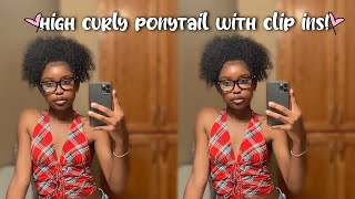 High Curly Ponytail With Clip Ins!
