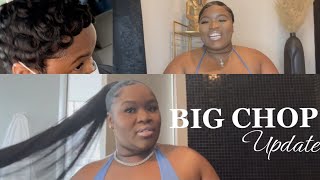 Big Chop Update | How I Do A Ponytail With Short Hair??