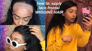How To: Apply Lace Frontal | Wiggins Hair