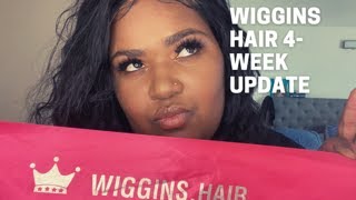Wiggins Loose Deep Wave Wig (4 Week Update)