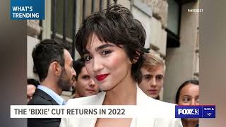 Bixie Haircut Trending In 2022