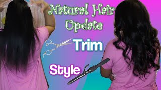 Natural Hair Update, Trim & Style