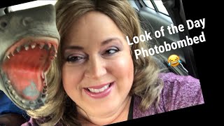 Quick Look Of The Day Lane Bryant & Walmart Plus + Paula Young Wigs | Photobombed By Puppet Shark!