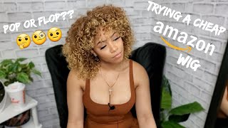 Trying A Cheap Amazon Wig  Pop Or Flop?? | Sharronreneé