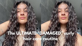 The Ultimate Hair Care Routine On Damaged Bleached Wavy Hair | Zell Dlr
