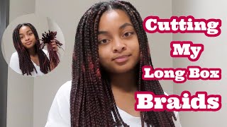 How I Cut My Long Box Braids Into A Long Bob | Revamping My Waist Length Box Braids