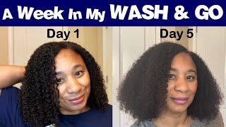 Natural Hair Care For Women Over 40 & 50 - A Week In My Wash And Go