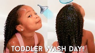 Toddler Curly Hair Wash Day Routine | Kid Friendly Tutorial For Easy Detangling + Moisturized Curls!