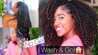 No Gel Wash & Go!?! Affordable Curly Hair Routine For Definition + Volume| W/ Aussie