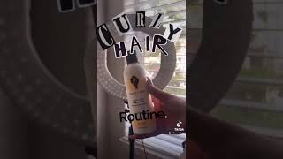 Curly Hair Routine 2C/3A Hair
