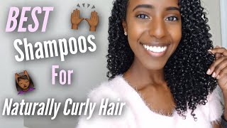 Best Shampoos For Curly Hair | Natural Hair