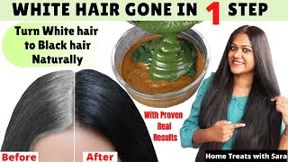 Just 1 Use Turn White To Black Hair Naturally | 2 In 1 Step For Natural Black Hair  Live Results