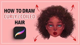 How To Draw Realistic Curly/Coiled Hair Digitally | Procreate Tutorial