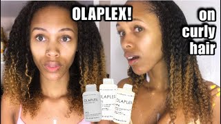 I Tried Olaplex No. 3, 4 And 5 On My Curly Hair | The Ultimate Hair Repair System?