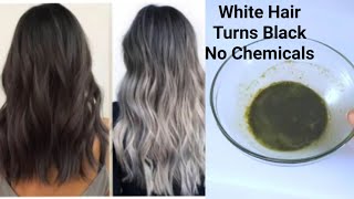 White Hair Turned Black With No Chemicals Natural Hair Dye