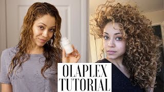 My Olaplex Tutorial | Curly Hair