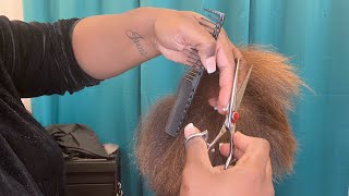 How To Trim Your Own Hair Like A Professional | When To Trim My Natural Hair |Hair Trim Schedule
