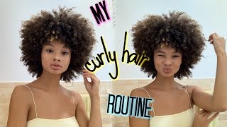 My Curly Hair Care Routine