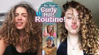 No-Heat Curly Haircare Routine 2020!! Vegan + Cruelty Free