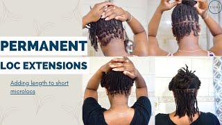 Permanent Loc Extensions On Short Hair | Adding Length To Microlocs | Extensions On Microlocs