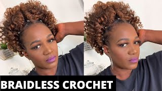 Braidless High Puff Crochet Braids On Short Natural  4C Hair | Quick Protective Style | Toyotress
