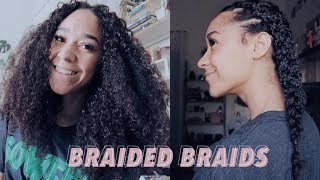 Braided Braids - Curly Hair Protective Hairstyle