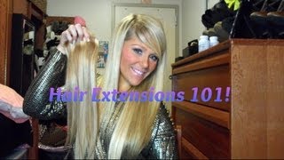 Hair Extensions: Clip Ins