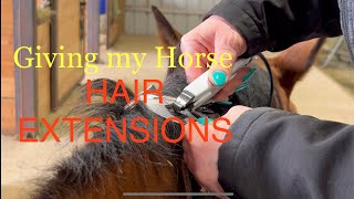 Giving My Horse Hair Extensions. Yes, Really!