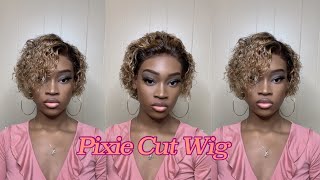 Curly Pixie Wig Install | All Wet Everything ||Young Africana Inspired||
