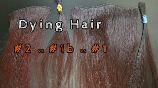Do Darker Natural Color Virgin / Weft Hair Extensions Influence The Results Of Dying The Hair?