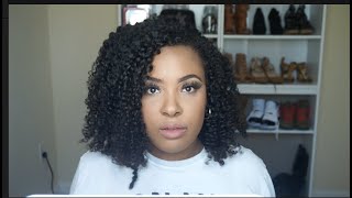 Sassina Hair Kinky Curly Clip Ins (Twist Out)