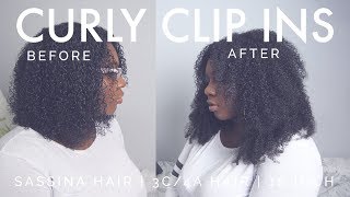 Affordable Curly Clip Ins You Must Try / Sassina Hair Review / Afro Curly 3C-4A // Hair