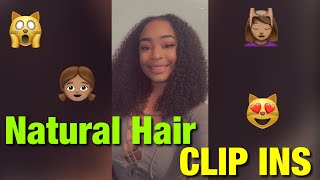 Better Length Clip Ins | 3B-3C Kinky Curly 20 Inch