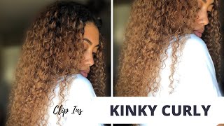Kinky Curly Clip Ins - 3C/4A Textures!