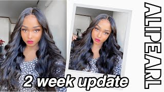 2 Week Wig Update | Beginner Friendly 5X5 Closure Wig Ft. Alipearl Hair