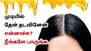 Honey For Hair Fall And  Hair Loss Treatment - Hair Care Tips In Tamil Beauty Tv