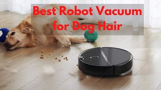 Best Robot Vacuum For Dog Hair 2022