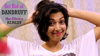 Most Effective Dandruff Treatment | My Winter Hair Care Routine | Home Remedy