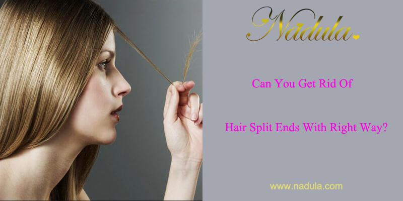Can You Get Rid Of Hair Split Ends With Right Way?