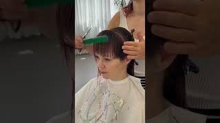 Modern Mullet Haircut - By Sck (Timelapse Video)